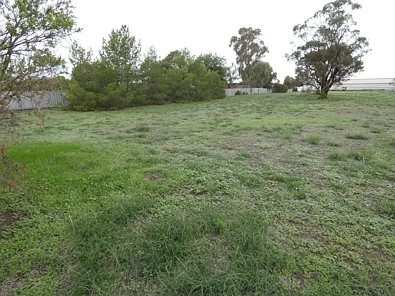  Brook St, Woomelang, VIC 3485, 0 Schlafzimmer, 0 Badezimmer, Section