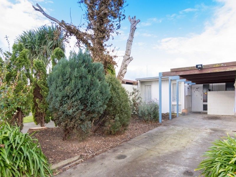 11 Westmere Place, Takaro, Palmerston North, 2 phòng ngủ, 1 phòng tắm