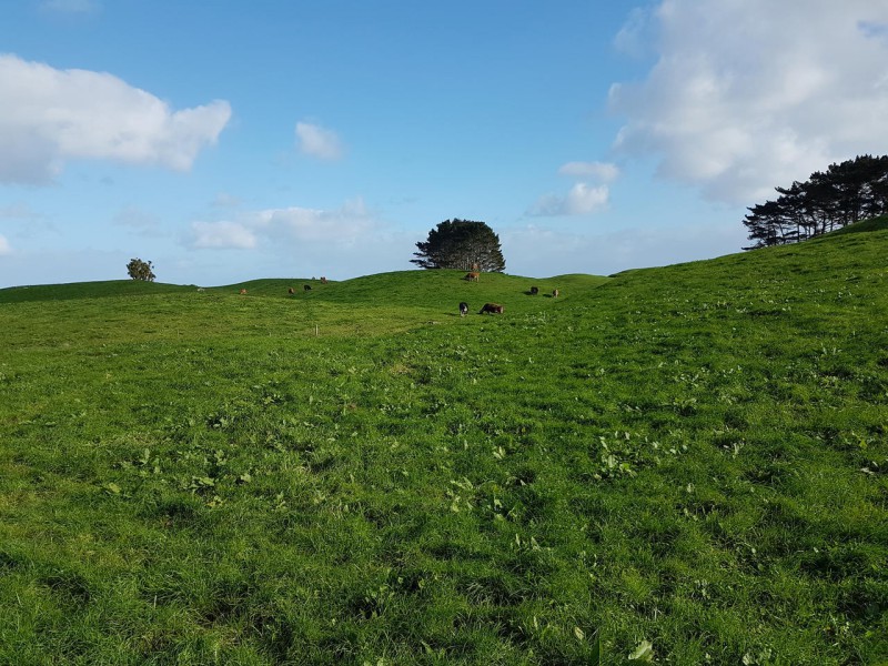 207 Paora Road, Warea, South Taranaki, 0 Schlafzimmer, 0 Badezimmer