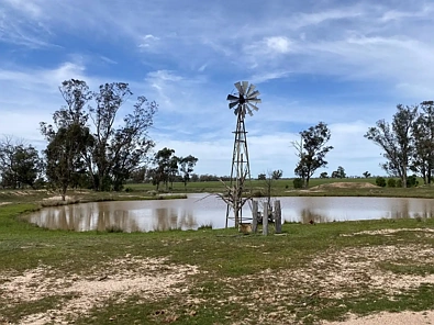 Adres Weerhou, Gilgandra, NSW 2827, 4 slaapkamers, 2 badkamers, Lifestyle Property