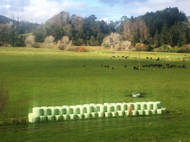 South Highway 38, Wairoa Country, Wairoa, 0 Schlafzimmer, 0 Badezimmer