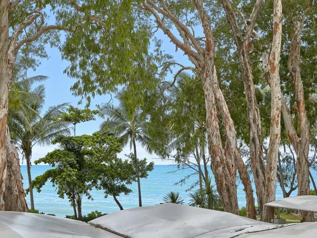 Palm Cove 3房  An Exceptional Beachfront Opportunity