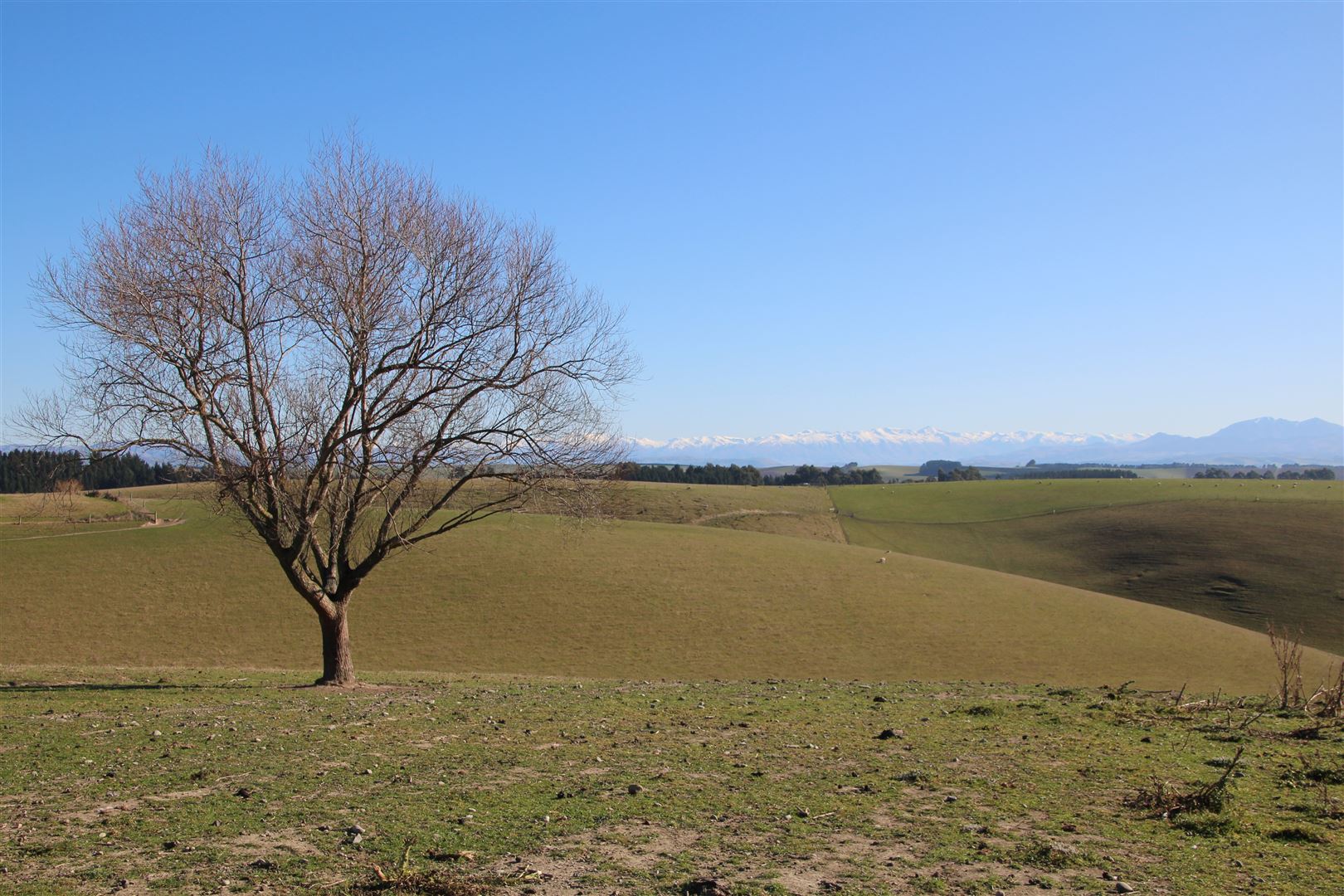 632 Rolling Ridges Road, Levels Valley, Timaru, 0 rūma, 1 rūma horoi