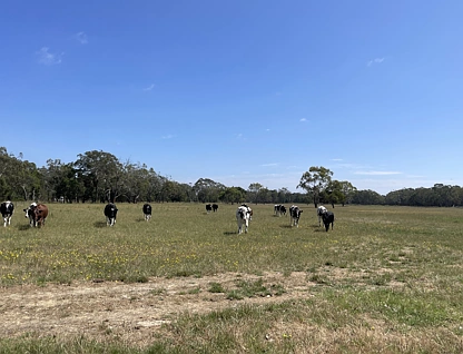 Lot 2, Princes Highway, Heywood, Portland and Glenelg Shire, 0 rūma, 0 rūma horoi, Lifestyle Property