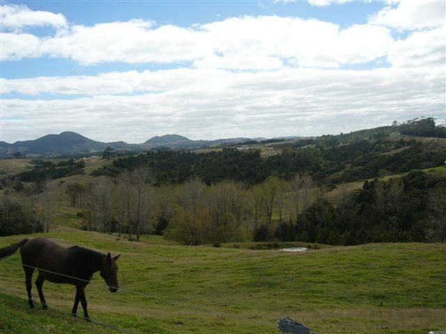 40 Crossett Road, Ruatangata, Whangarei, 4 ਕਮਰੇ, 0 ਬਾਥਰੂਮ