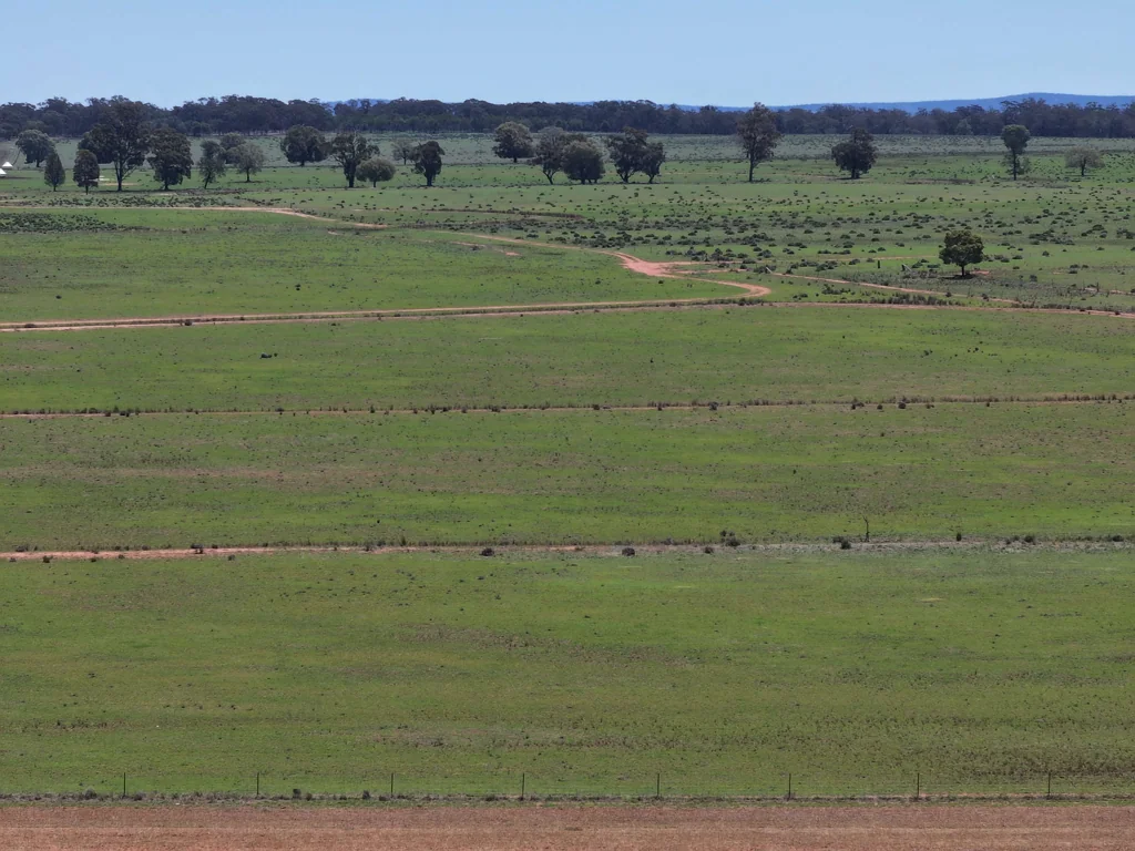 Trundle  Efficient Mixed Farming Property Ready To Fire After Great Start to The Season