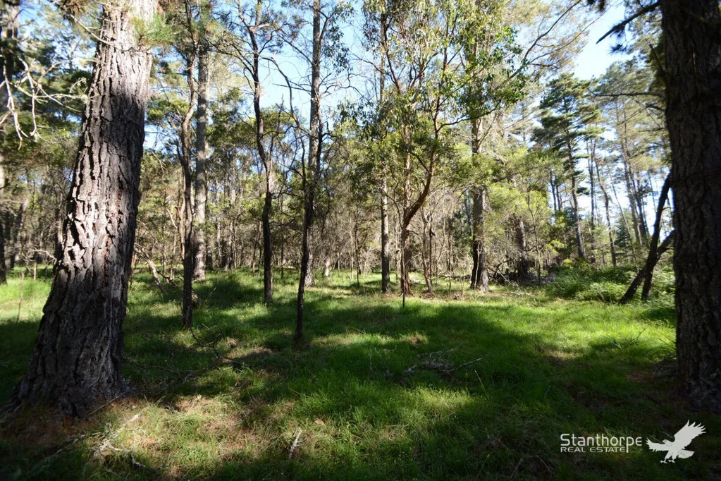 Sugarloaf SUGARLOAF VIA STANTHORPE - TRANQUIL 5 ACRE BLOCK WITH SEASONAL CREEK