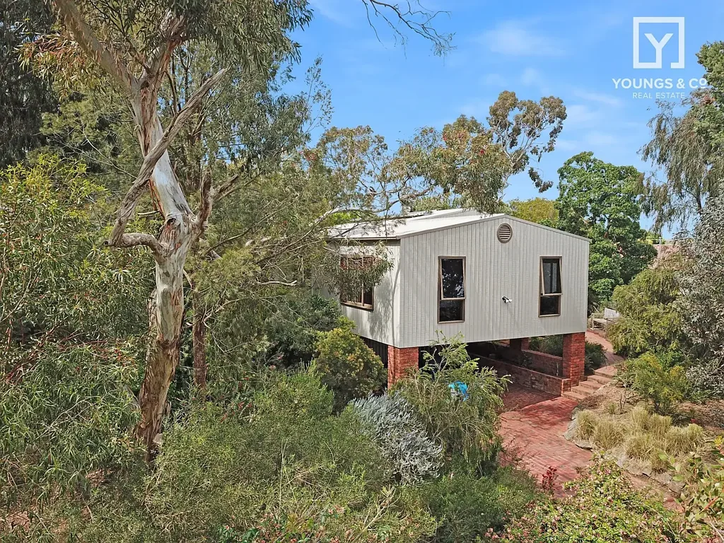 ENJOY A BUSH BACK DROP - A WELL DESIGNED HOME