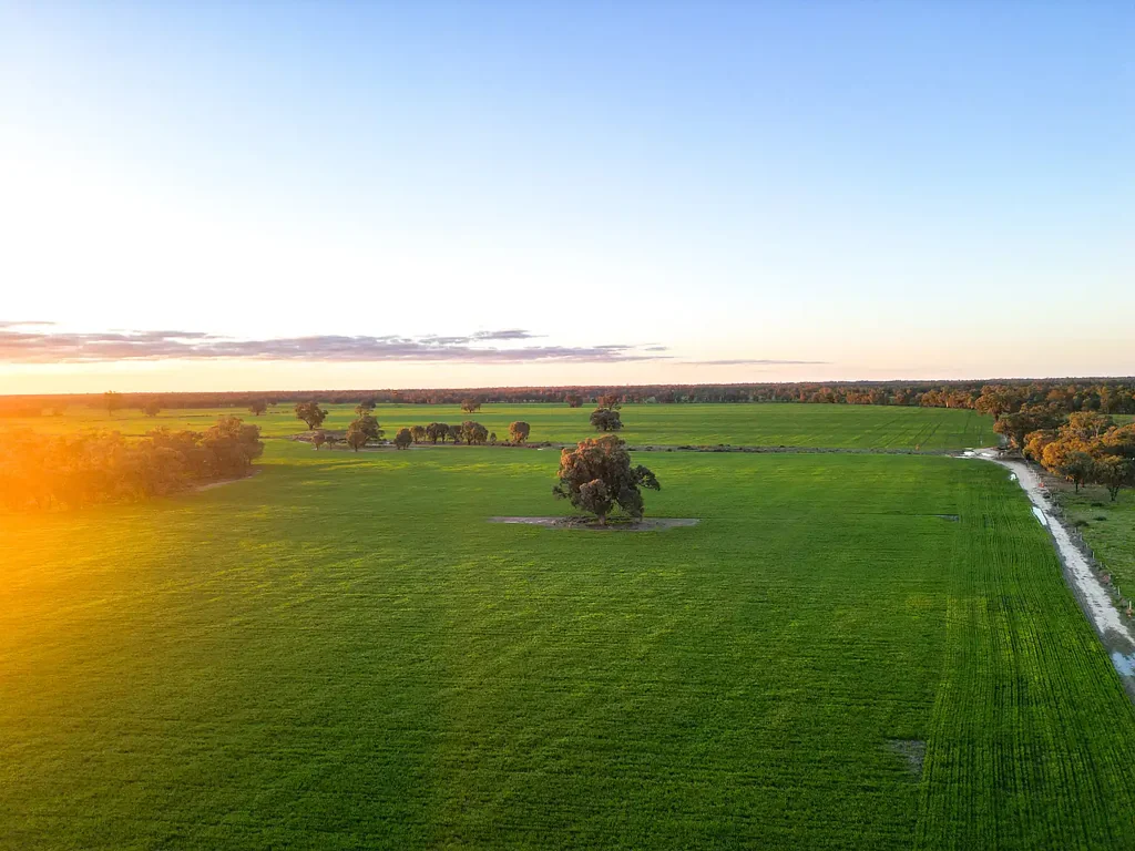 Deniliquin  Cropping Opportunity with Secure Water Access