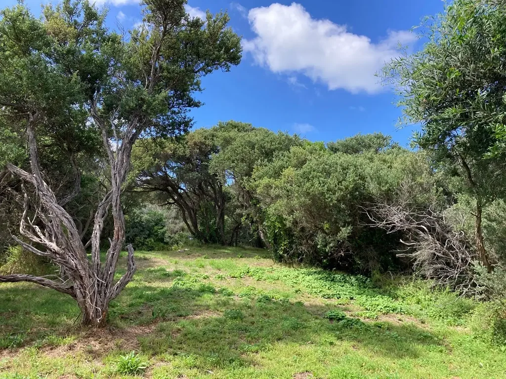 Venus Bay Realise Your Dreams Faster With a Current Planning Permit