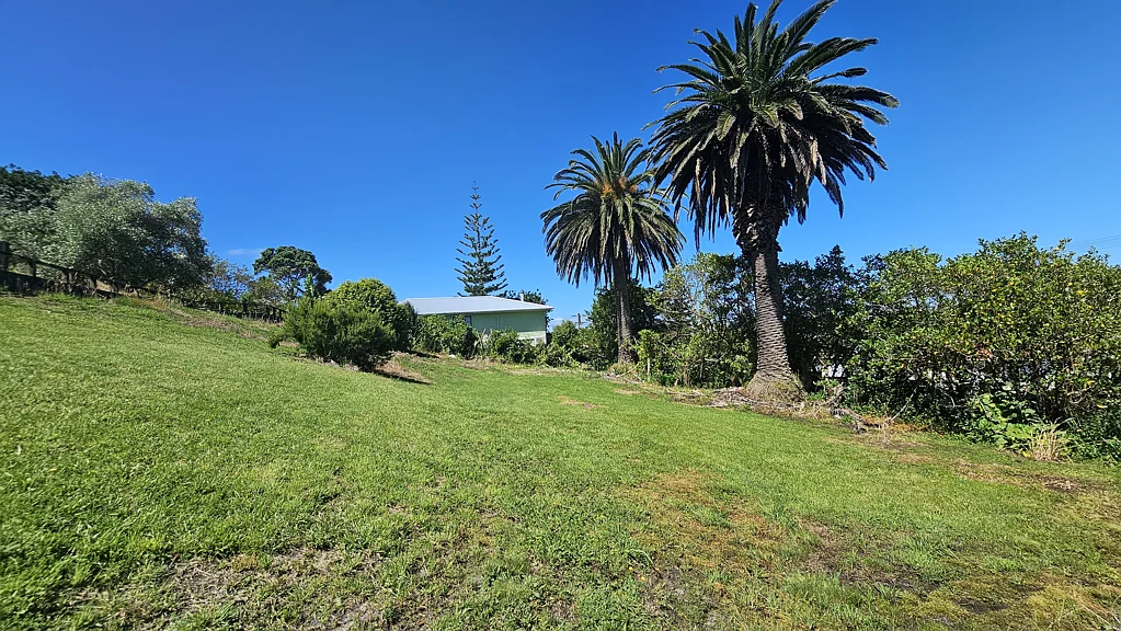 Dargaville  SECTION - MIDDLE OF TOWN - OFFERS WANTED NOW!