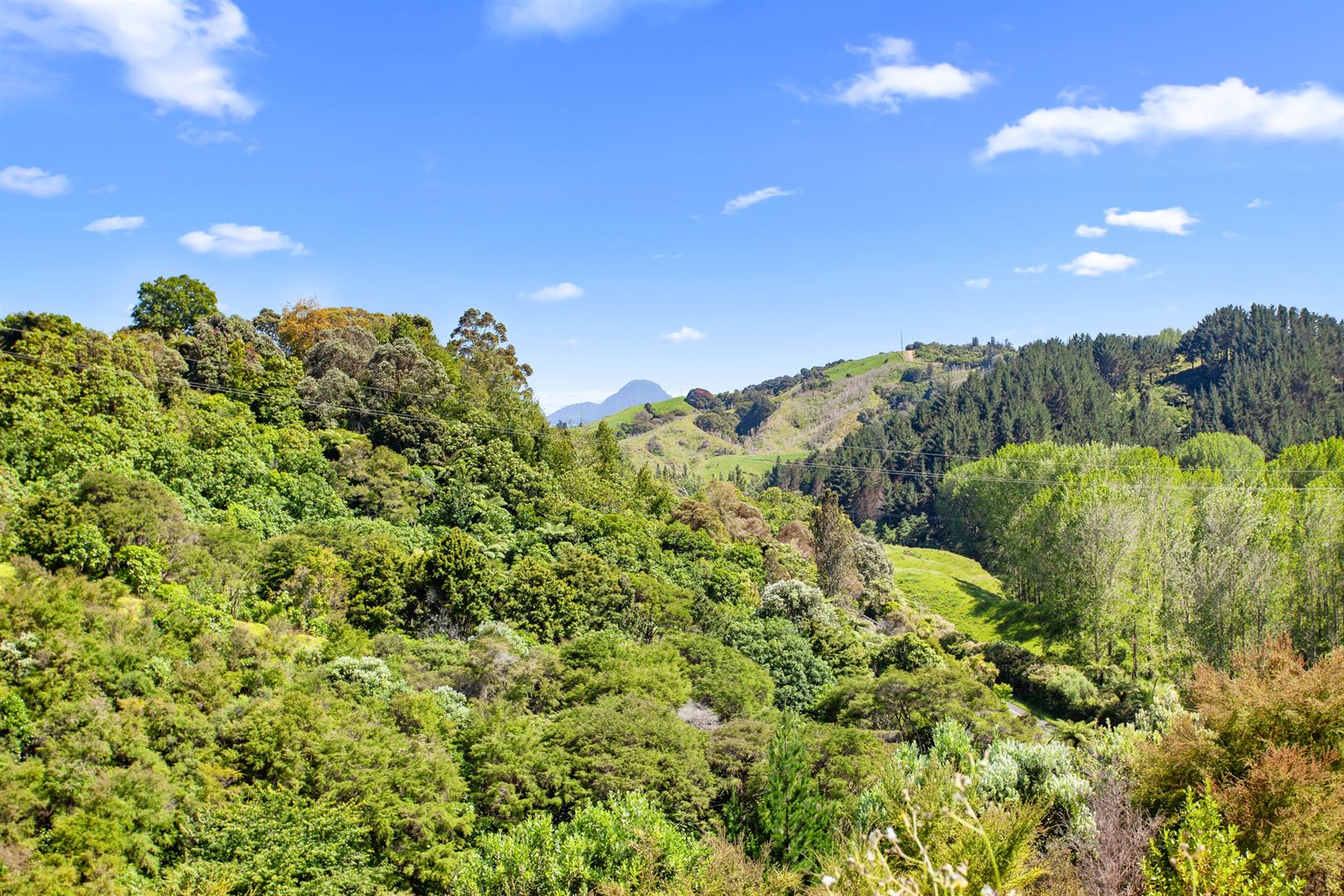 4 Foxglove Drive, Ohope