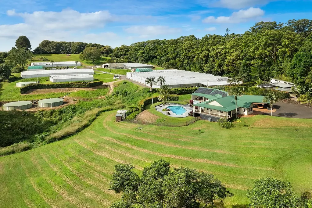 Federal 8chambre Hinterland lifestyle property with onsite nursery business