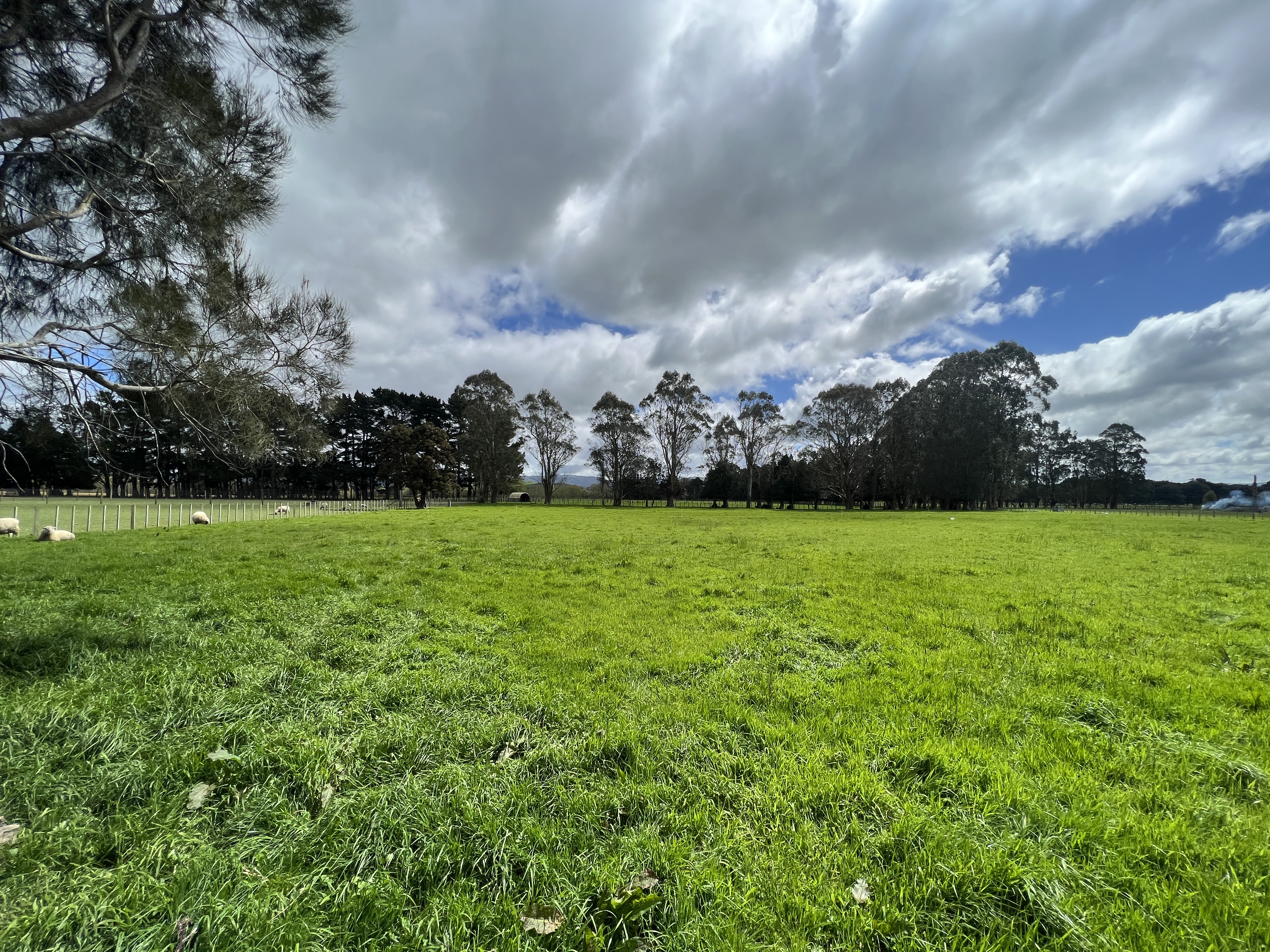 Tutaekara Road, Pahiatua, Tararua, 0 غرف, 1 حمامات, Lifestyle Section