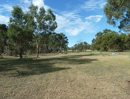 LOT 4/Section 2 Old Boort Road, Wedderburn, Bendigo, 0 phòng ngủ, 0 phòng tắm, Lifestyle Property