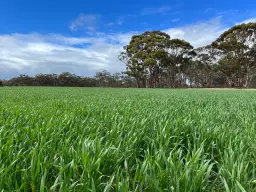 . 'Wells" Dangin North Road, Quairading