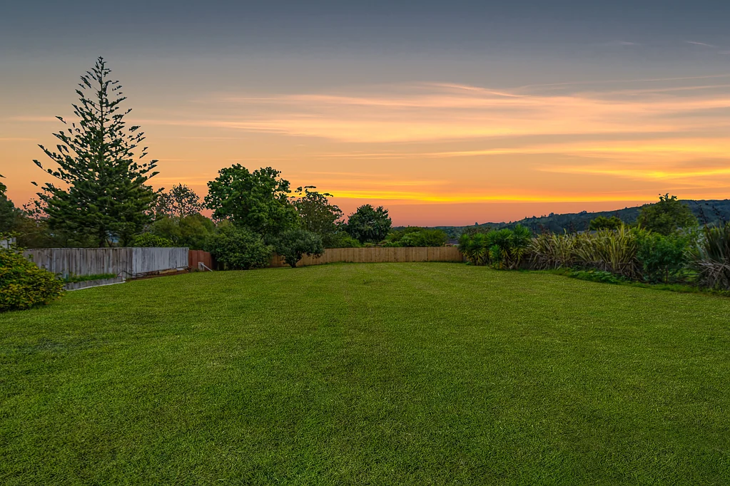 Kawakawa Circumstances Change Time to Leave the Land Behind