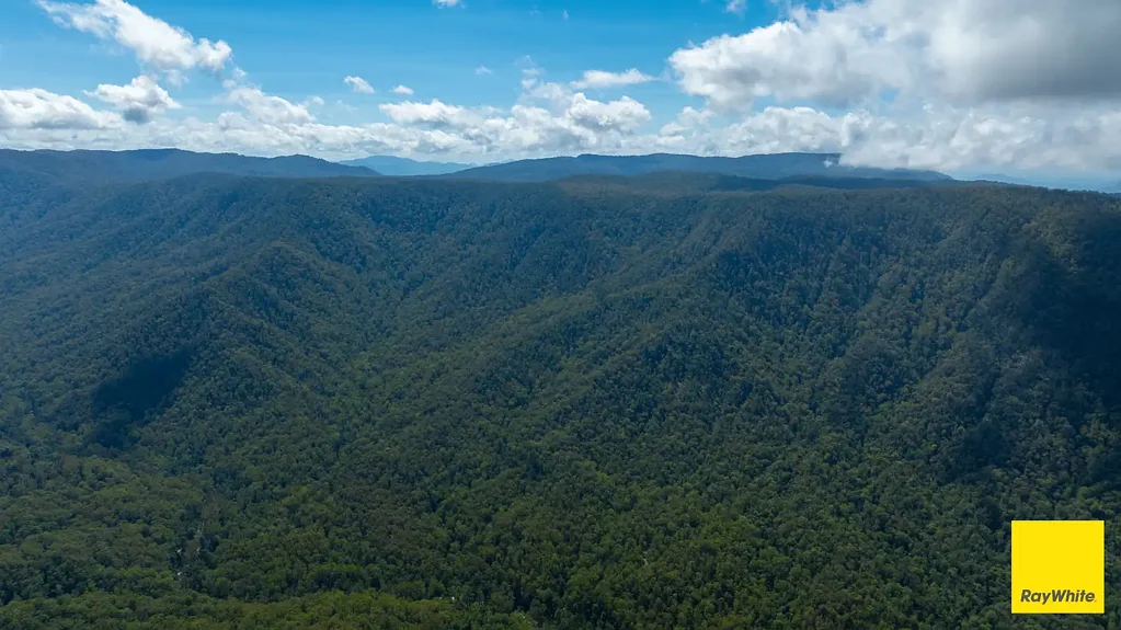 地址保密, Dorrigo, NSW 2453