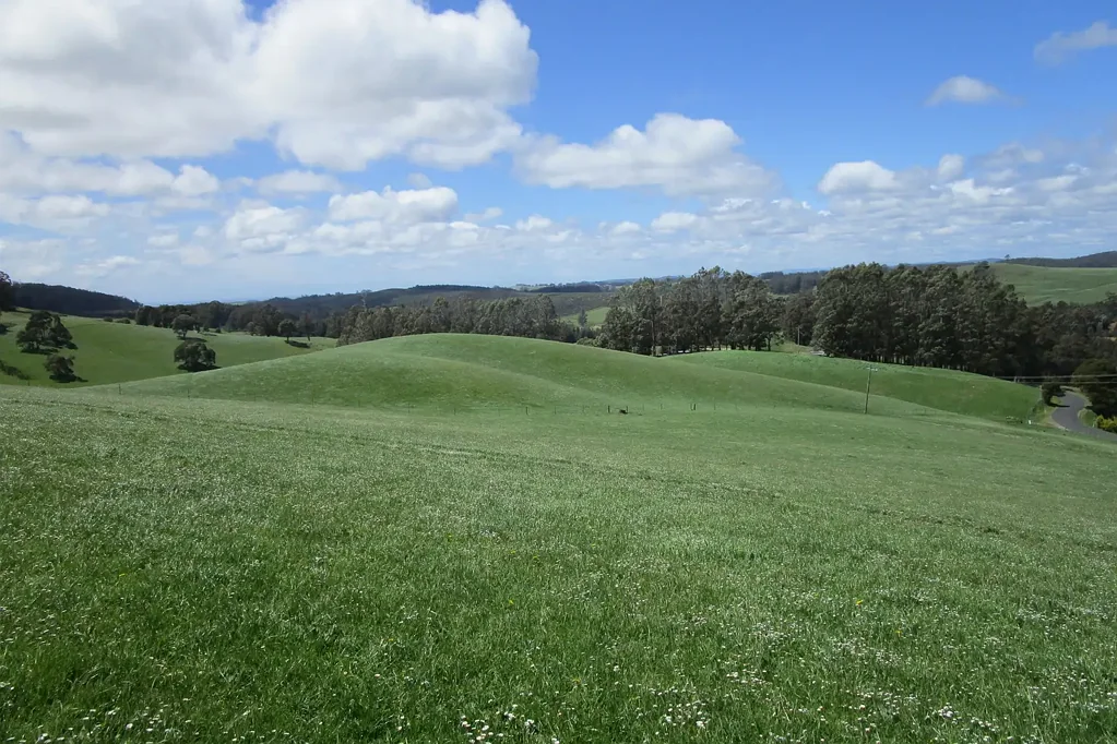Preston OUTSTANDING CATTLE BLOCK - 38.65 HECTARES (95 Acres)