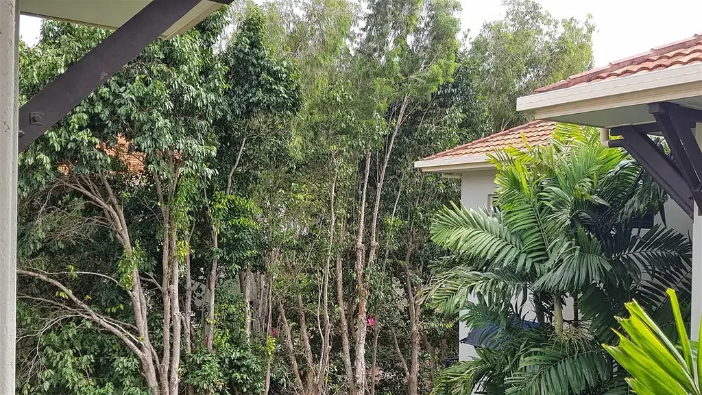 Block 17 Clifton Road, Clifton Beach, QLD 4879