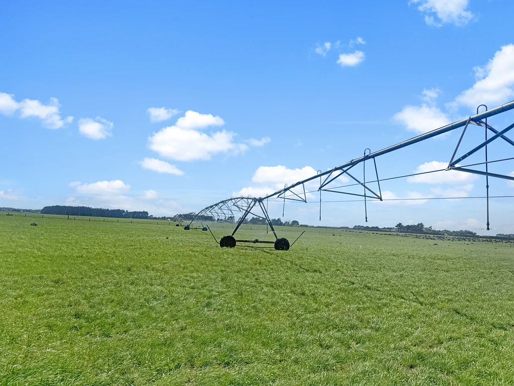 Rongotea Reliable production