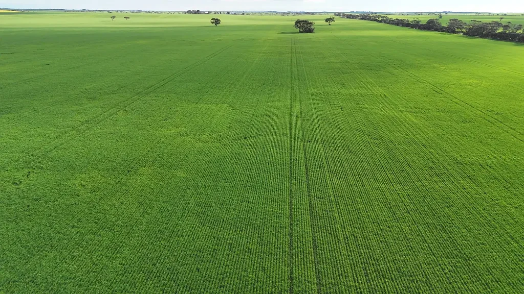 Tickera PRODUCTIVE ARABLE LAND