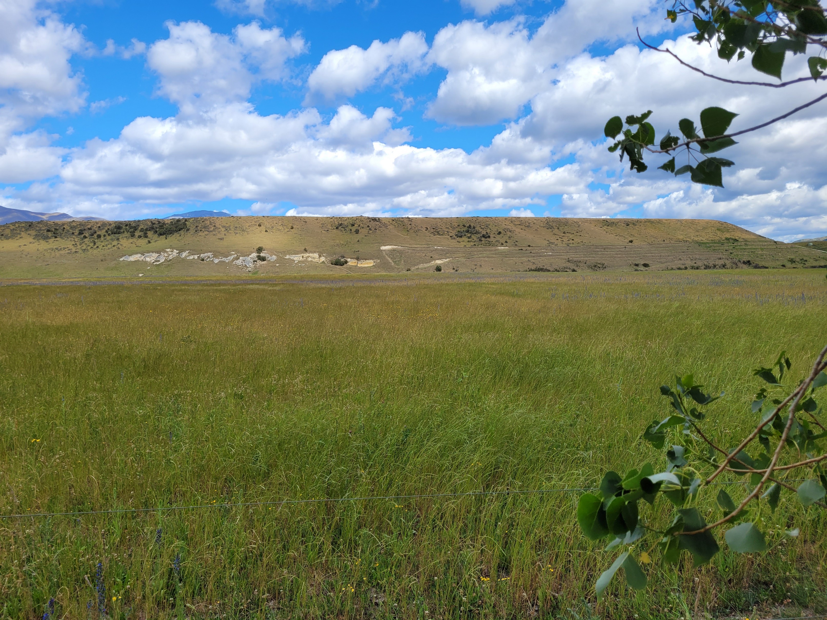 Grants Road, Otiake, Waitaki, 0房, 0浴, Bare Land