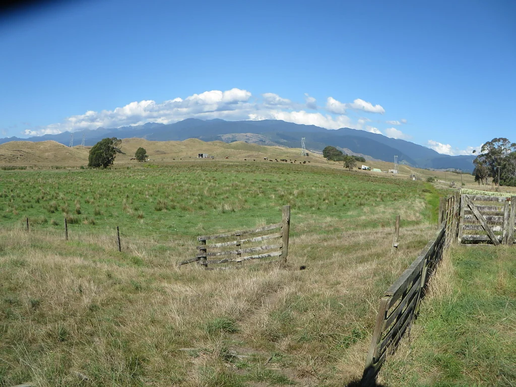 Ohau Range Views Plus Wetlands, Horowhenua