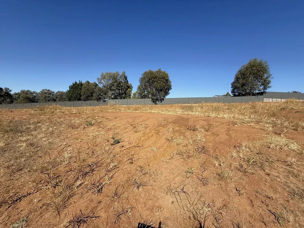 14 Armstrong Place, Young, NSW 2594
