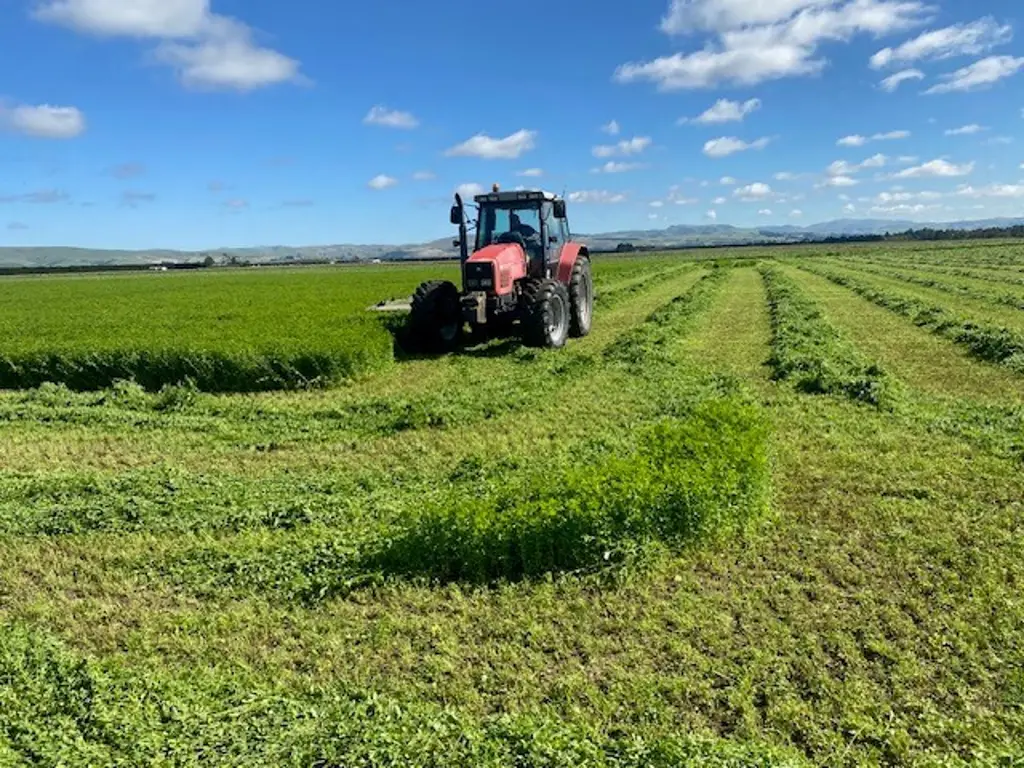 Amberley  Irrigated Lifestyle with Income