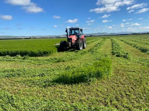 Amberley  Irrigated Lifestyle with Income