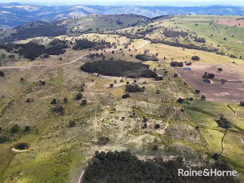 1580 Hill End Road, Sallys Flat, NSW 2850