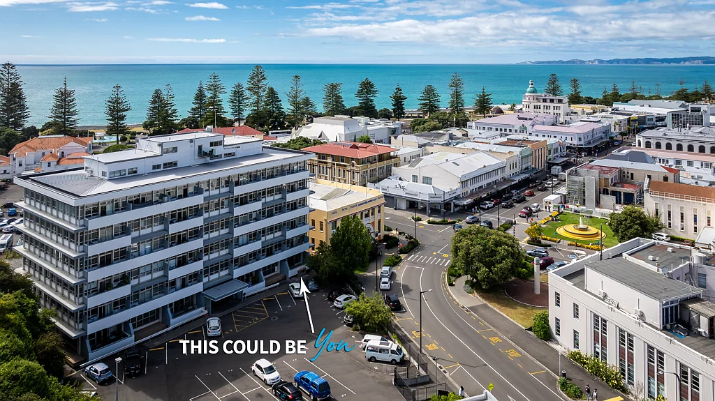 Napier South 1 Bedroom Investor Alert or Lifestyle Opportunity