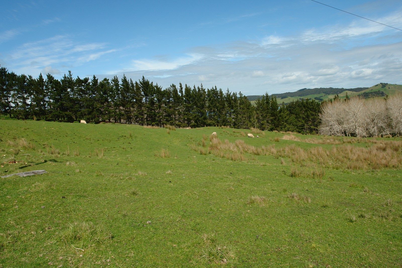 Otara Road, Kaiwaka, Kaipara, 0房, 0浴