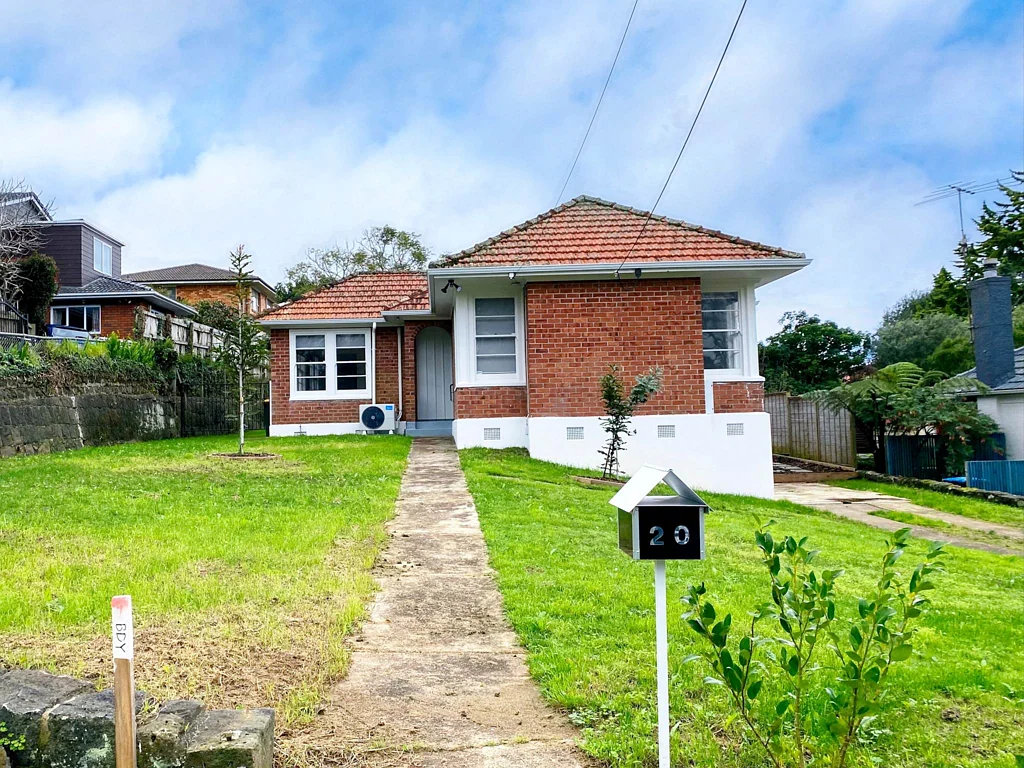 Massey Ave, Pets Negotiable
