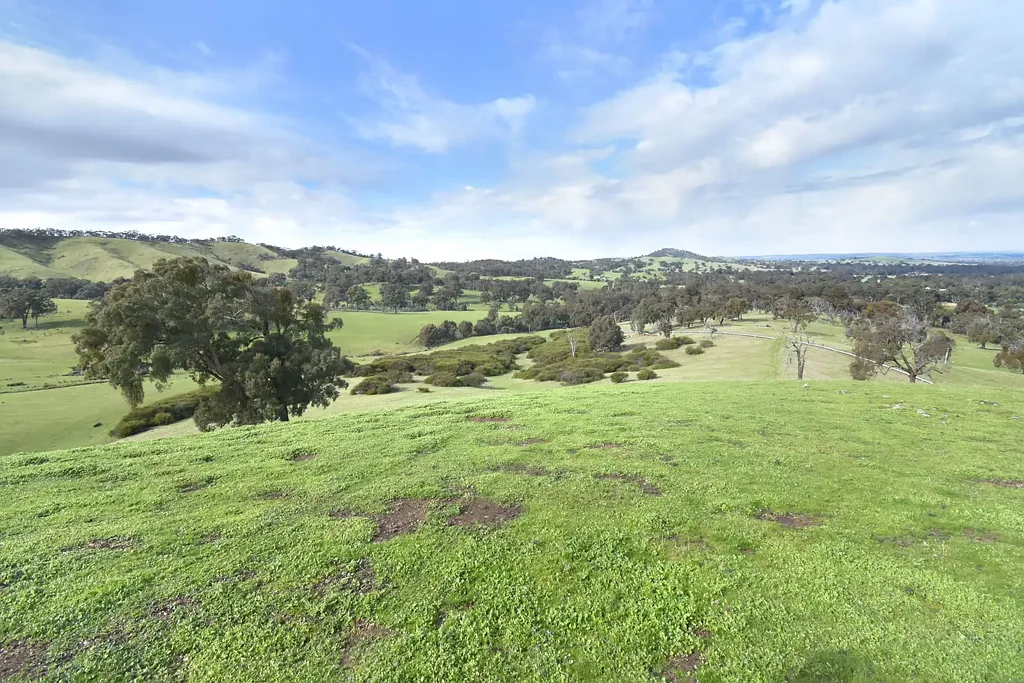 Norval Lifestyle Property with Stunning Views