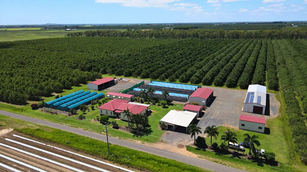 Meadowvale  134ha Macadamia Farm in Meadowvale