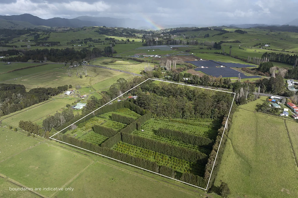 Kaitaia 4 Bedroom Delightful Lifestyle Property and Organic Orchard