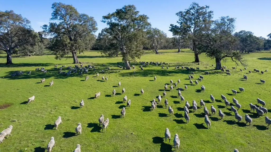 Wannon LIFESTYLE ON ACREAGE - GRAZING AND WILDLIFE