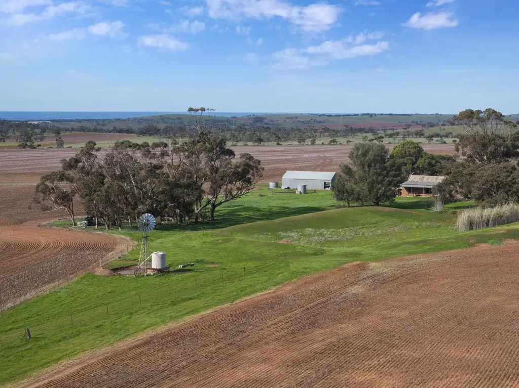 Frankton Quality Cropping Land | Expand or Establish