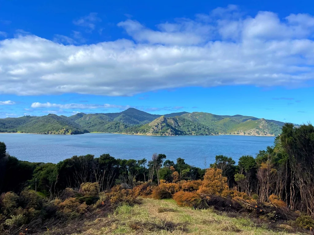 Great Barrier Island Cliff-top with Breath-taking Views: Make an Offer!