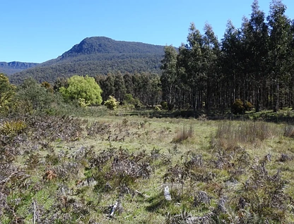 LOT 2140066/2140066 Hop Valley Road, Blackwood Creek, Launceston and North East, 0 રૂમ, 0 બાથરૂમ, Lifestyle Property