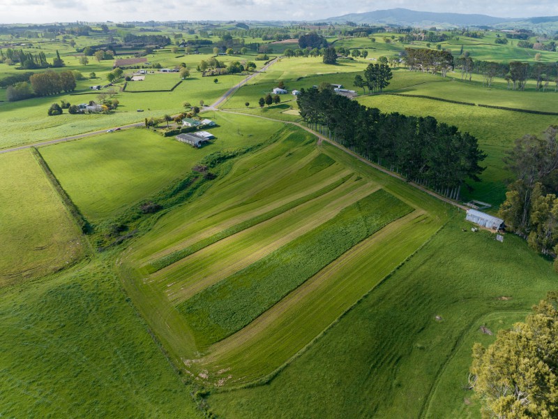 105 Milliken Road, Richmond Downs, Matamata, 0 ห้องนอน, 0 ห้องน้ำ