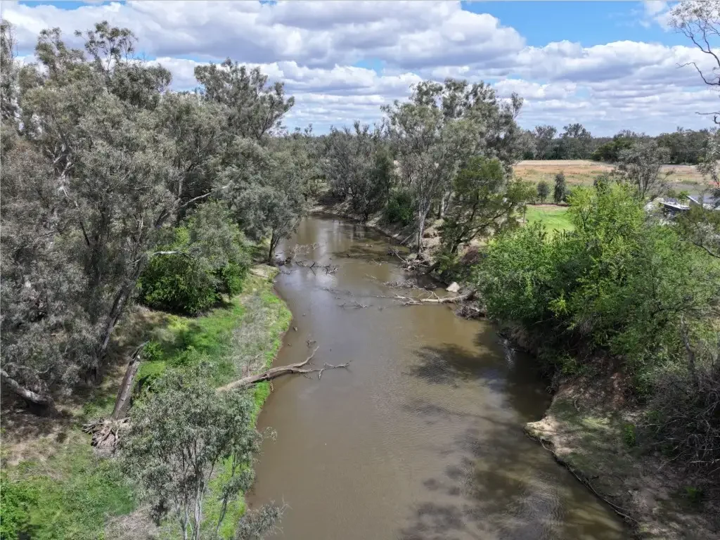 Forbes Ray White Forbes 02 6851 1411