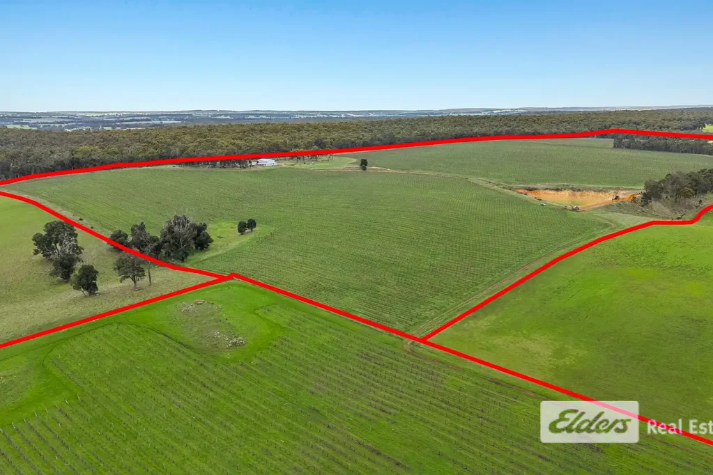Scotts Brook Commercial Vineyard and Grazing Property in the Heart of Boyup Brook