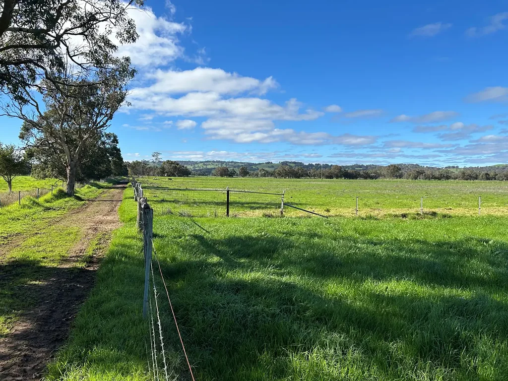 Wokalup  Irrigated Rural Landholding with Scale, Water & Scarp Views