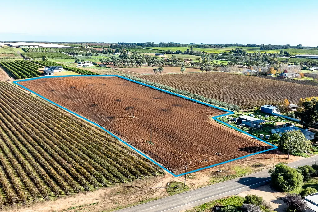 Renmark  Your Blank Canvas Awaits