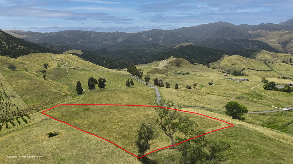Te Aroha  A blank canvas for your ideas