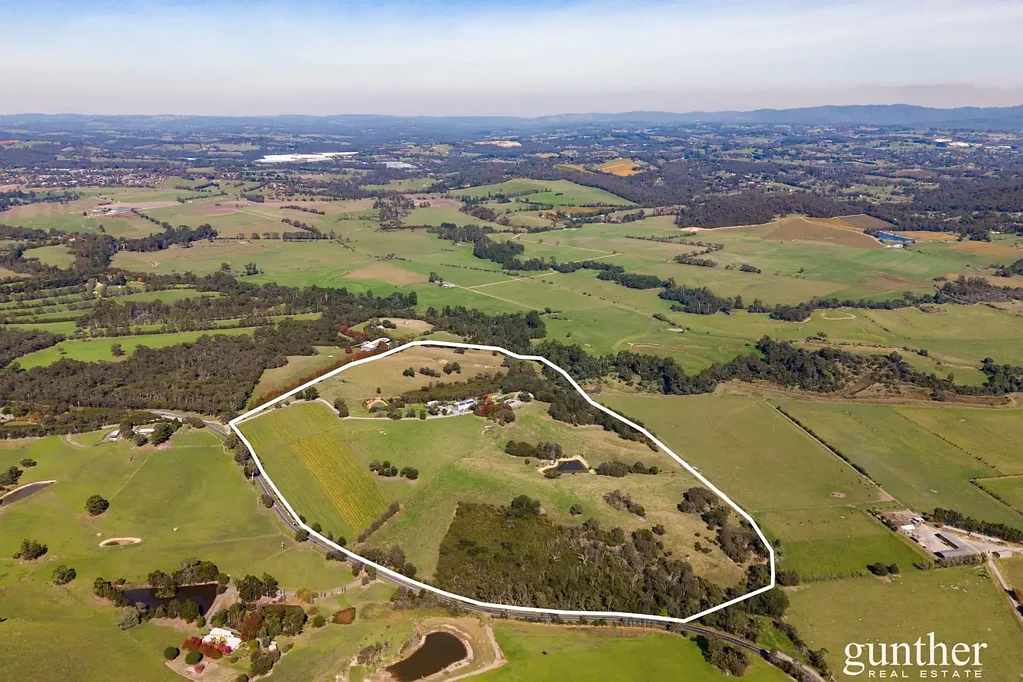 Healesville  The Ultimate Lifestyle Blend – Country Living, Winery Income, Yarra Valley Beauty