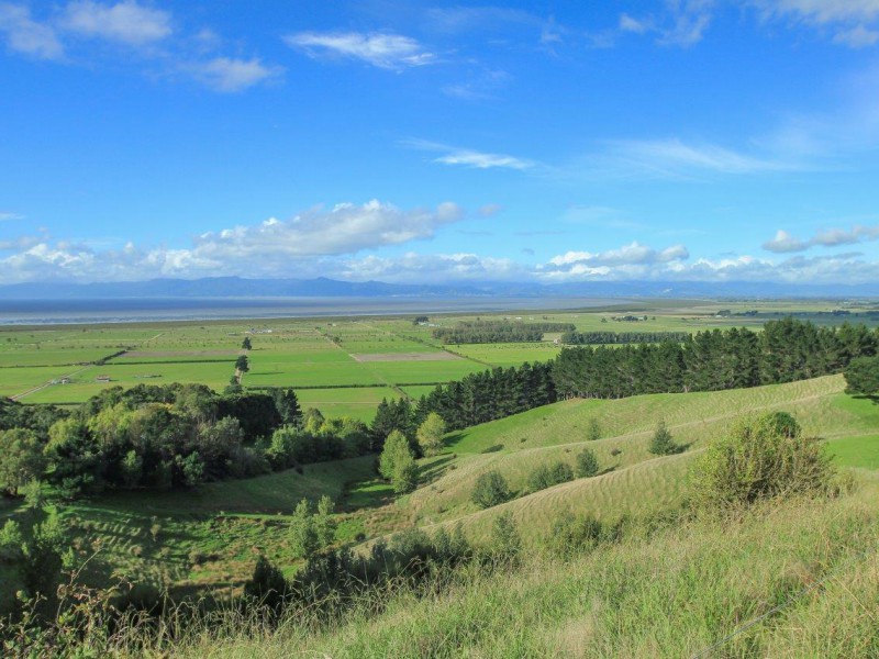 565 Back Miranda Road, Miranda, Waikato, 0 rūma, 1 rūma horoi